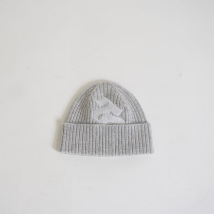 2S Beanie